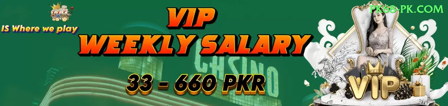 399pak VIP Slots Screenshot 1